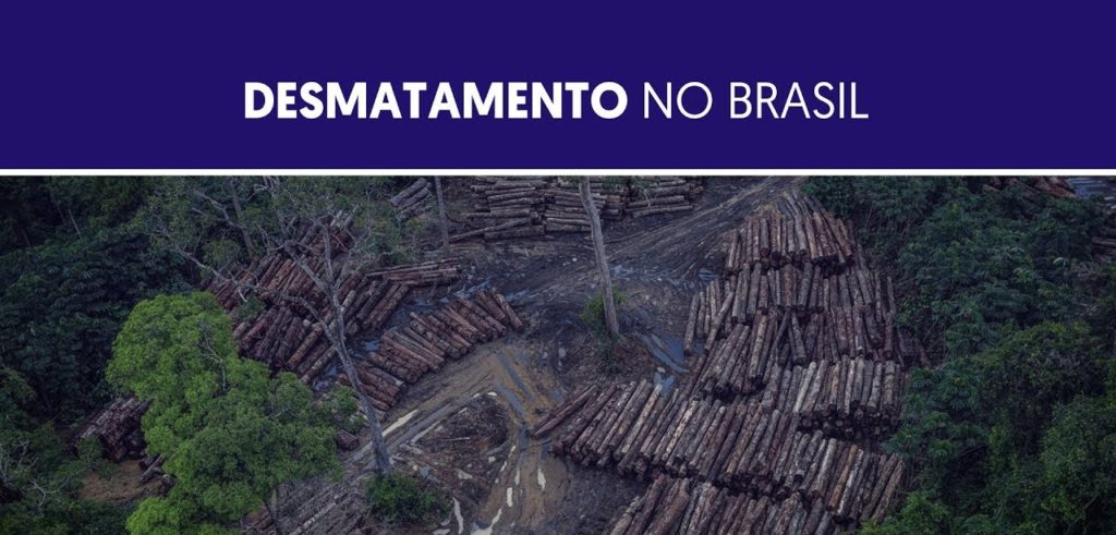 desmatamento no Brasil